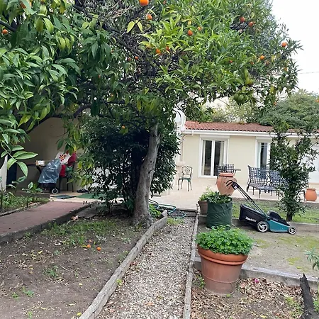 Chez Nicole-2